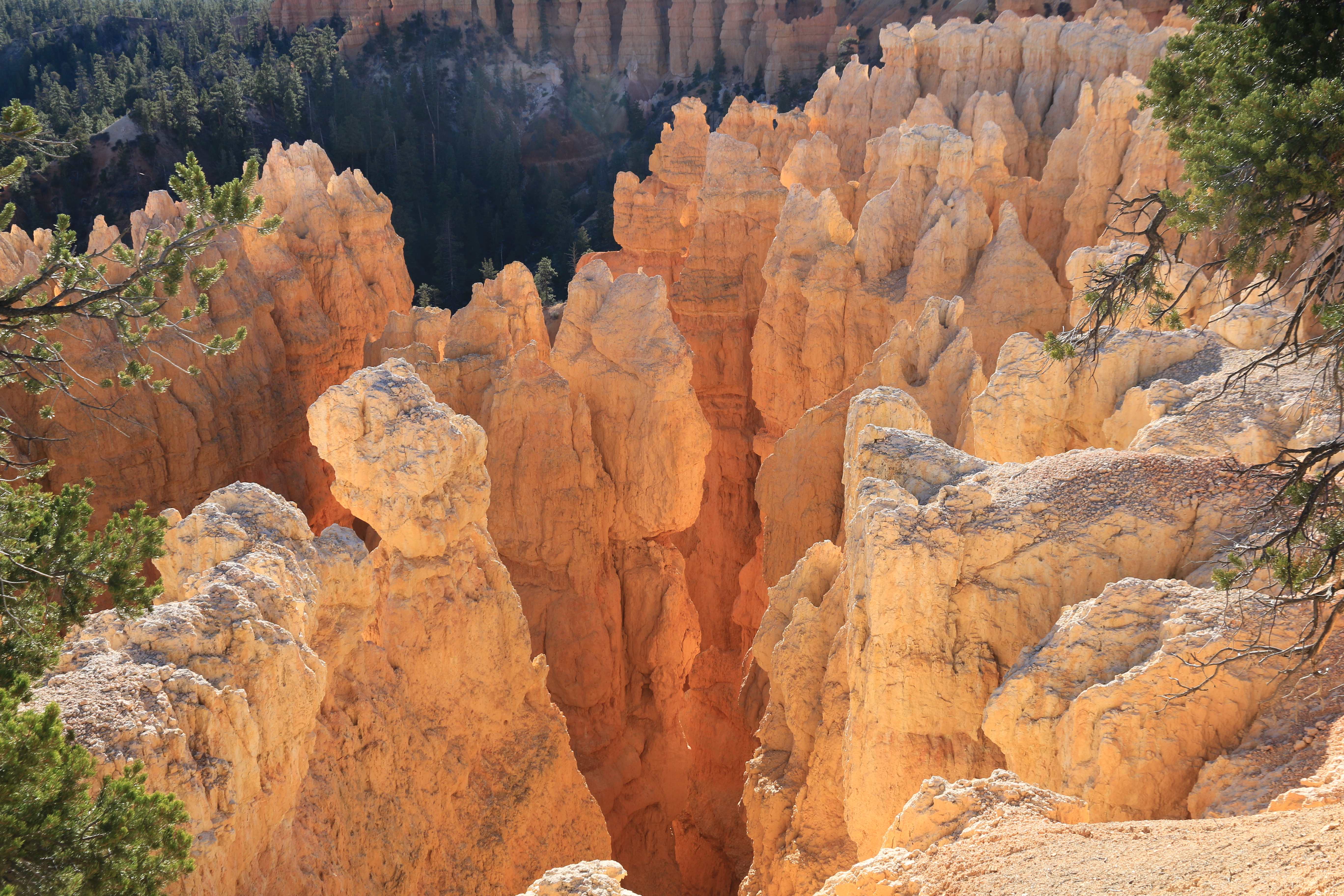 Bryce Canyon NP